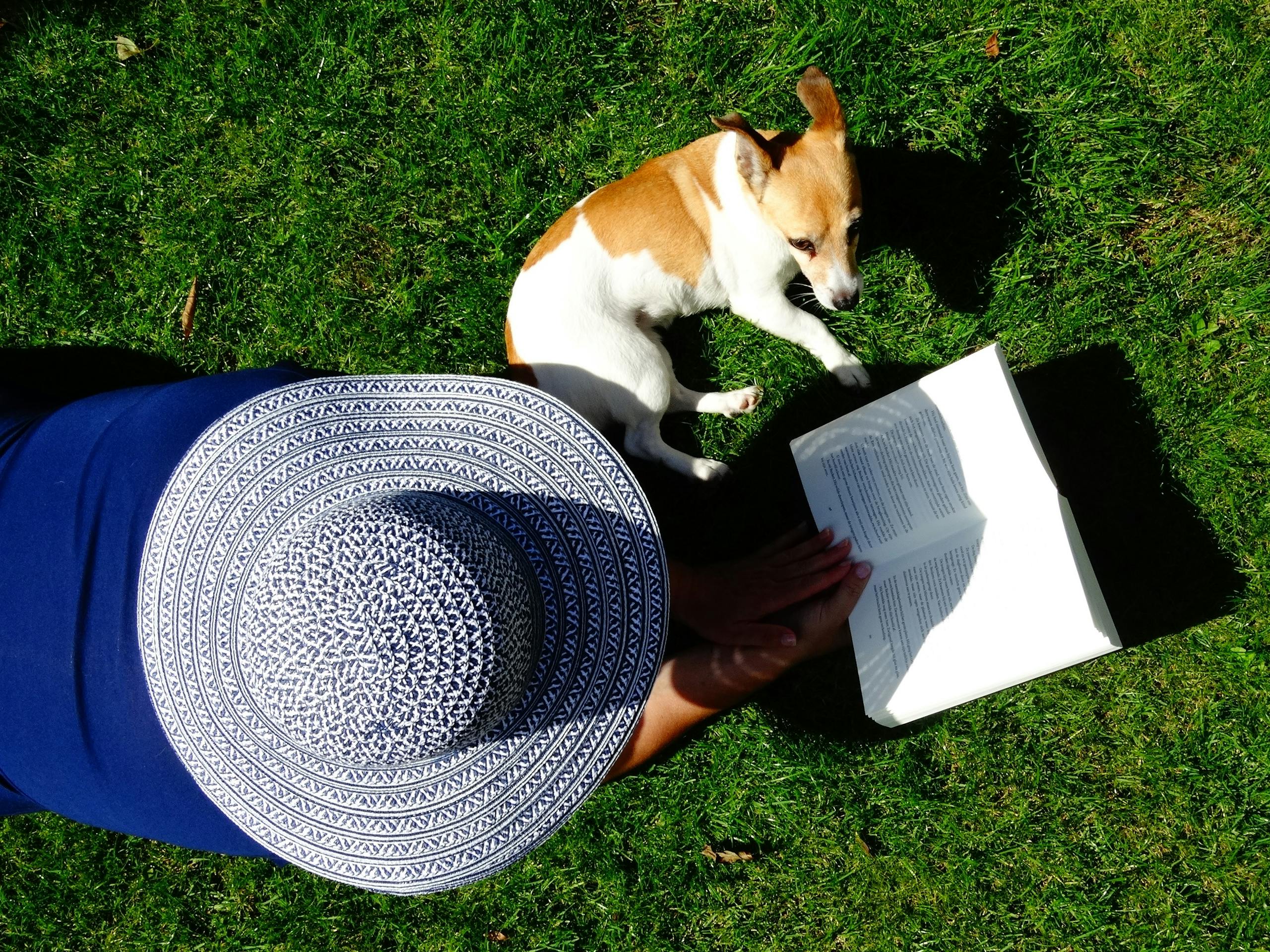 A woman reads a book with her dog on a sunny lawn in a dog-friendly park, perfect for leisure.