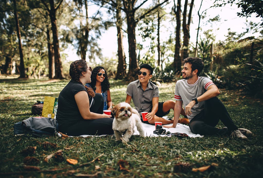 Friends having a fun picnic in a dog-friendly park with a Shih Tzu, enjoying a sunny day outdoors.