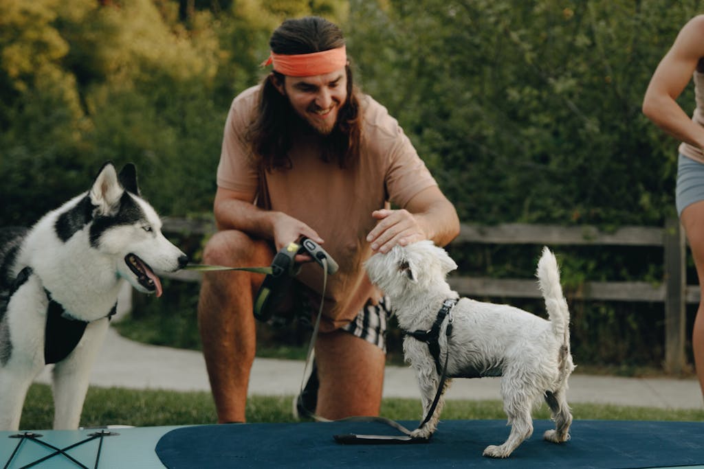 Smiling man interacts with two dogs outdoors in a dog-friendly park on a sunny day, enjoying nature and companionship.