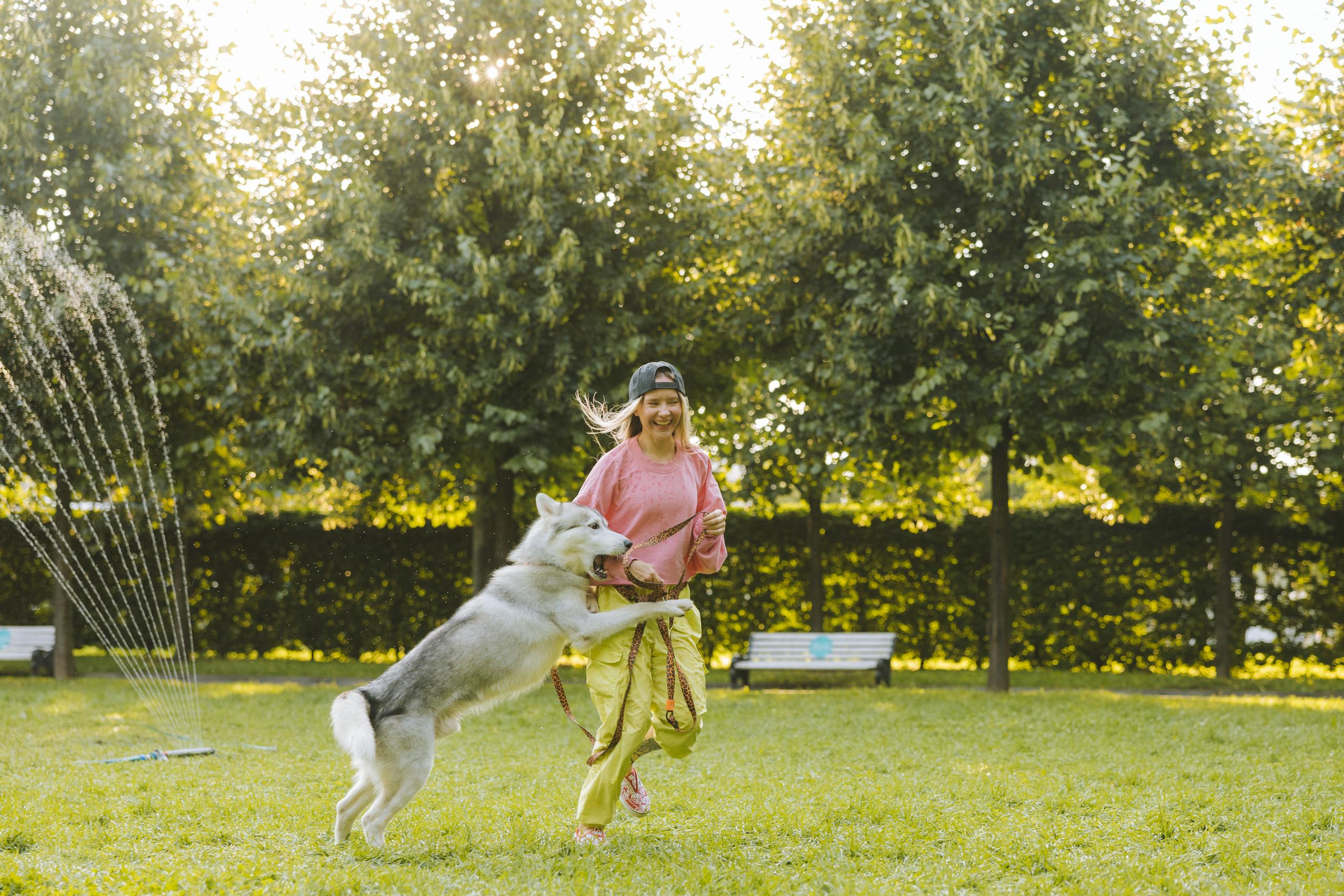 Woman and husky dog enjoy playful moment in a dog-friendly sunlit park with green grass and trees.